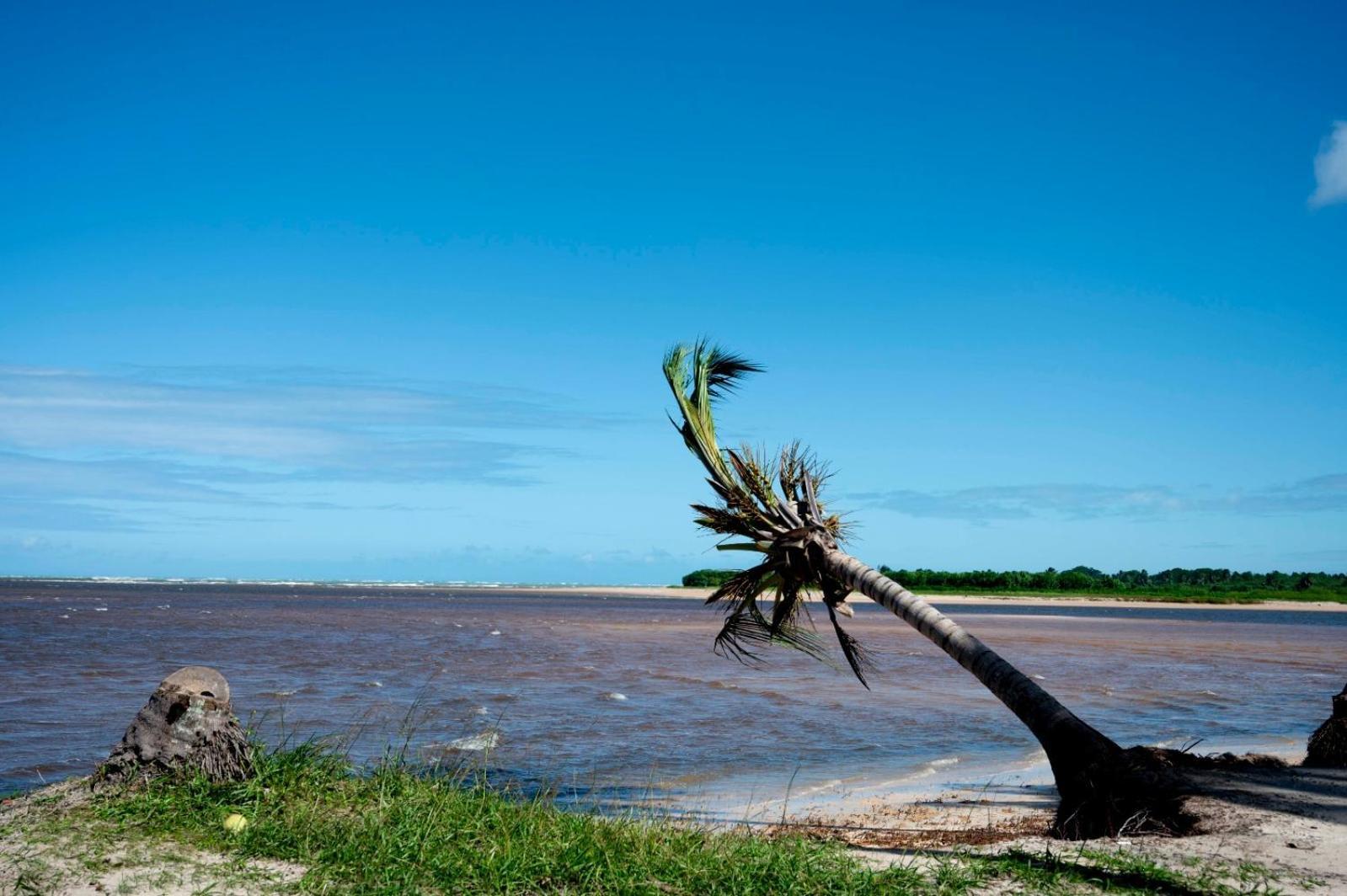 Bangalo Verde Recanto Uana - 280M Praia Tatuamunha Maceió 외부 사진