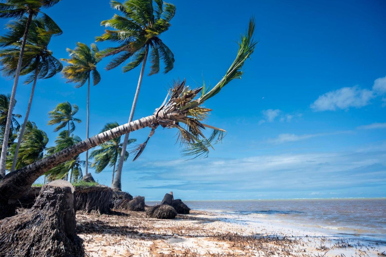Bangalo Verde Recanto Uana - 280M Praia Tatuamunha Maceió 외부 사진